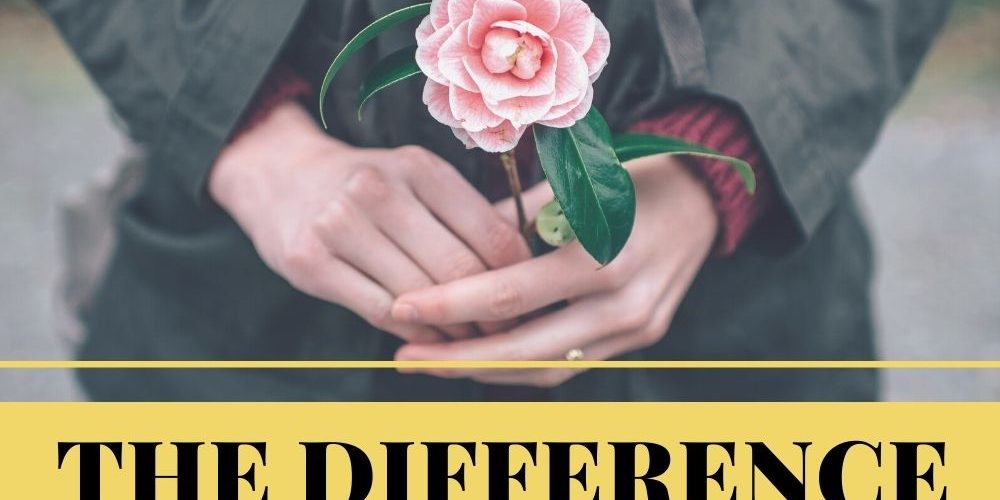 the-difference-between-crush-and-love-22-key-distinctions-shinefeeds