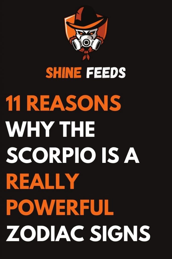 11 REASONS WHY THE SCORPIO IS A REALLY POWERFUL ZODIAC SIGNS | ShineFeeds