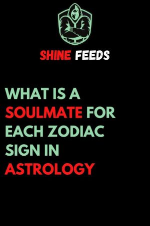 soulmate zodiac