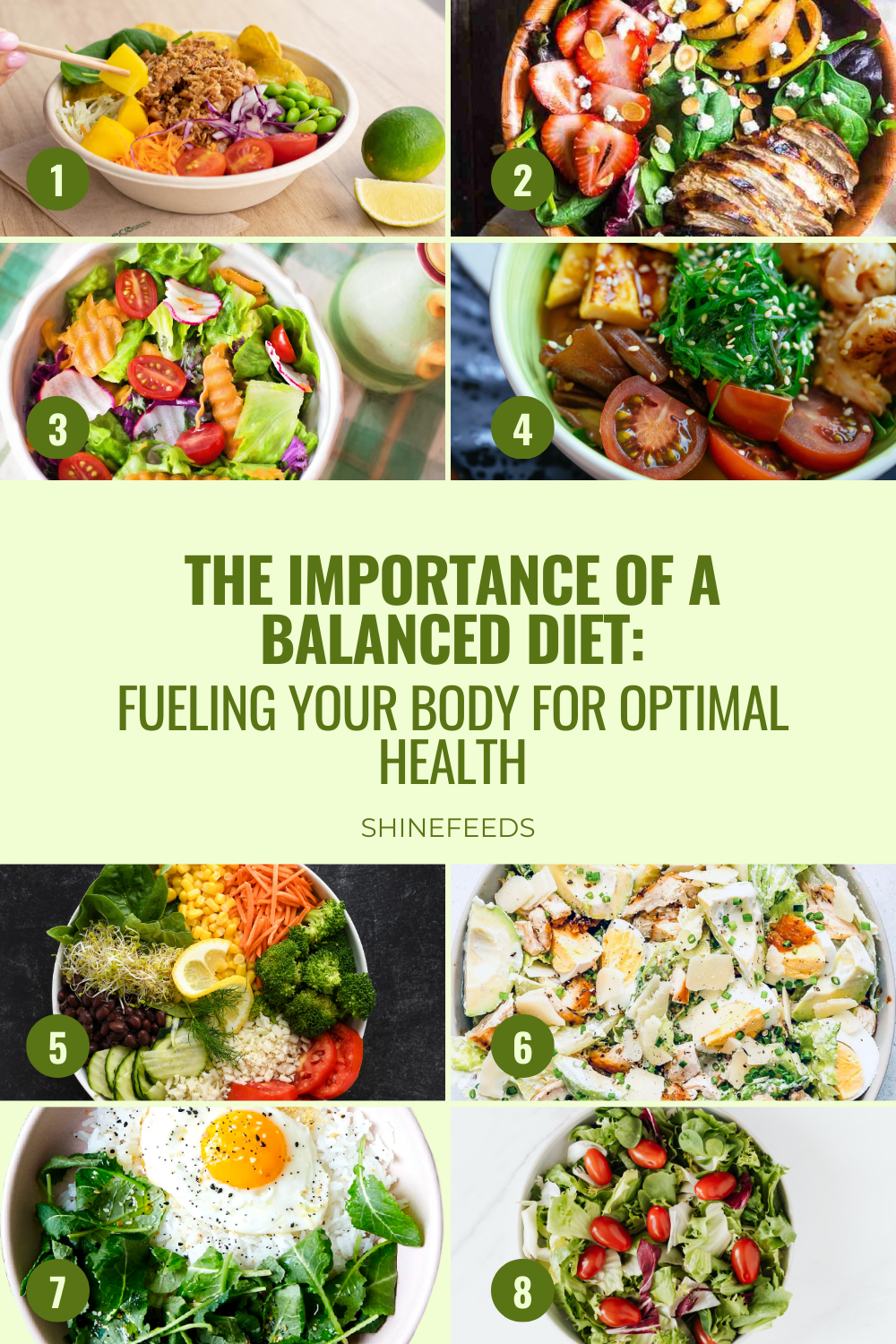 The Importance of a Balanced Diet