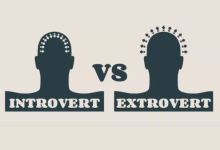 The Science Behind Personality Types Are You an Introvert or Extrovert